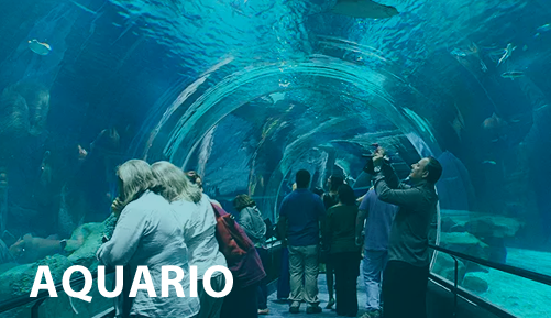 AquaRio